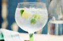All about gin: How to choose the right one, what to mix it with and what food to pair it with