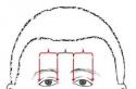 The science of physiognomy: reading a person’s face